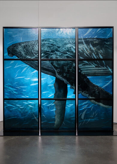 La Baleine